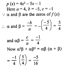 RD Sharma Class 10 Solutions Chapter 2 Polynomials Ex 2.1 31