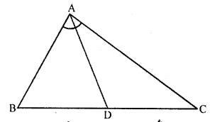 RD Sharma Class 10 Solutions Chapter 7 Triangles Ex 7.3 13