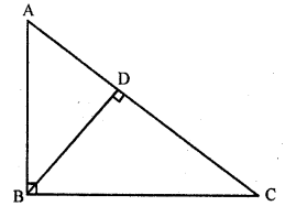 RD Sharma Class 10 Solutions Chapter 7 Triangles Ex 7.5 9
