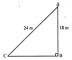RD Sharma Class 10 Solutions Chapter 7 Triangles Ex 7.7 24