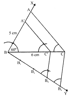 RD Sharma Class 10 Solutions Chapter 9 Constructions Ex 9.2 9
