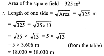 RD Sharma Class 8 Solutions Chapter 3 Squares and Square Roots Ex 3.9 25
