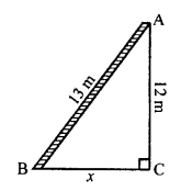 RS Aggarwal Class 10 Solutions Chapter 4 Triangles Ex 4D 4