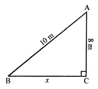 RS Aggarwal Class 10 Solutions Chapter 4 Triangles Ex 4E 5
