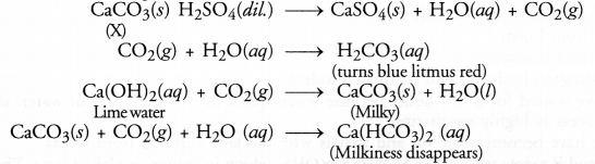 HOTS Questions for Class 10 Science Chapter 1 Chemical Reactions and Equations image - 3