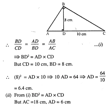 Selina Concise Mathematics Class 10 ICSE Solutions Chapter 15 Similarity Ex 15A Q19.1