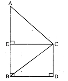 Selina Concise Mathematics Class 10 ICSE Solutions Chapter 22 Heights and Distances Ex 22C Q20.1