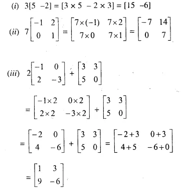 Selina Concise Mathematics Class 10 ICSE Solutions Chapter 9 Matrices Ex 9B Q1.2