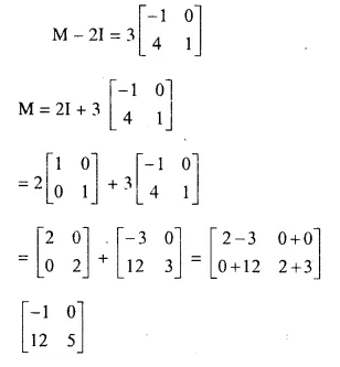 Selina Concise Mathematics Class 10 ICSE Solutions Chapter 9 Matrices Ex 9B Q10.2