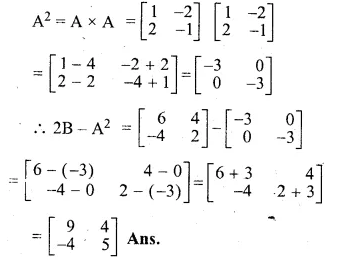 ML Aggarwal Class 10 Solutions for ICSE Maths Chapter 8 Matrices Ex 8.3 Q11.1