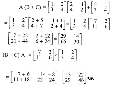 ML Aggarwal Class 10 Solutions for ICSE Maths Chapter 8 Matrices Ex 8.3 Q12.1
