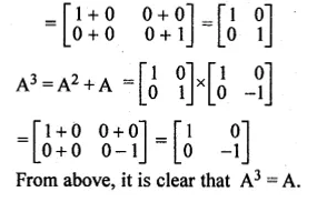ML Aggarwal Class 10 Solutions for ICSE Maths Chapter 8 Matrices Ex 8.3 Q16.1