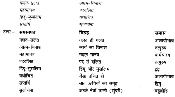 NCERT Solutions for Class 10 Hindi Kshitij Chapter 17 1