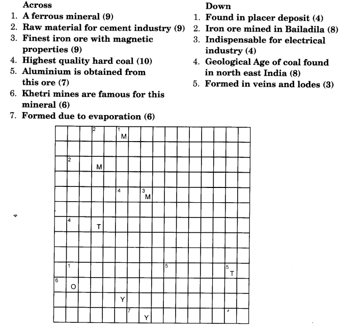 NCERT Solutions for Class 10 Social Science Geography Chapter 5 Minerals and Energy Resources 1