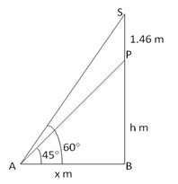 RS Aggarwal Solutions Class 10 Chapter 14 Height and Distance Ex 14a 14