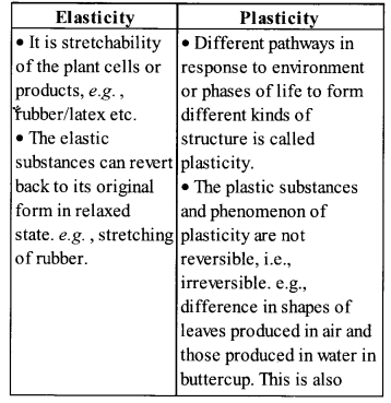 NCERT Exemplar Solutions for Class 11 Biology Chapter 15 Plant Growth and Development 4