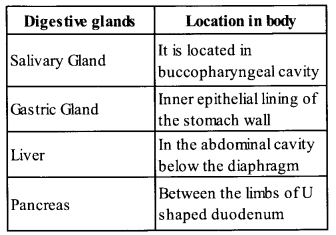 NCERT Exemplar Solutions for Class 11 Biology Chapter 16 Digestion and Absorption 6