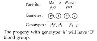 NCERT Exemplar Solutions for Class 12 Biology chapter 5 Principles of Inheritance and Variation 4