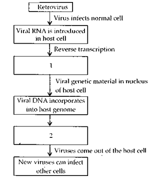 NCERT Exemplar Solutions for Class 12 Biology chapter 8 Human Health and Diseases 2