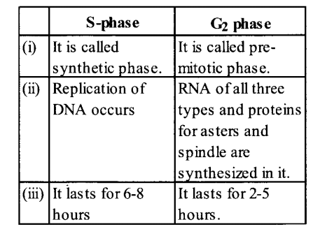 NCERT Solutions for Class 11 Biology Chapter 10 Cell Cycle and Cell Division 5