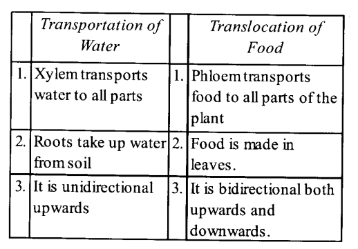 NCERT Solutions for Class 11 Biology Chapter 11 Transport in Plants 12