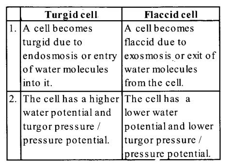 NCERT Solutions for Class 11 Biology Chapter 11 Transport in Plants 15