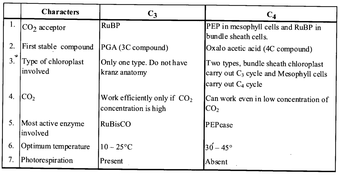 NCERT Solutions for Class 11 Biology Chapter 13 Photosynthesis 2