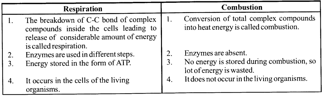 NCERT Solutions for Class 11 Biology Chapter 14 Respiration in Plants 1