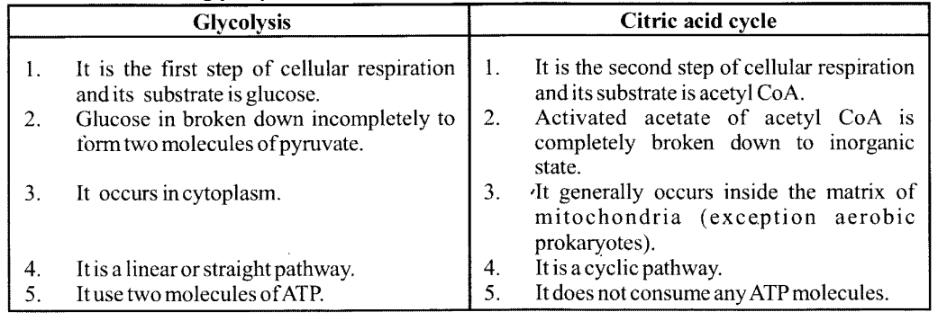 NCERT Solutions for Class 11 Biology Chapter 14 Respiration in Plants 10