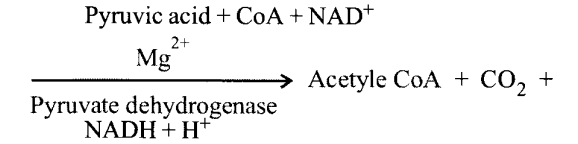 NCERT Solutions for Class 11 Biology Chapter 14 Respiration in Plants 5