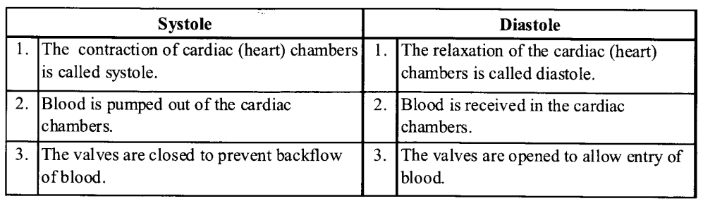 NCERT Solutions for Class 11 Biology Chapter 18 Body Fluids and Circulation 4