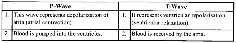 NCERT Solutions for Class 11 Biology Chapter 18 Body Fluids and Circulation 5