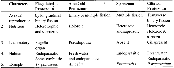 NCERT Solutions for Class 11 Biology Chapter 2 Biological Classification 1