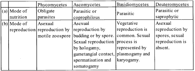 Class 11 Biological Classification Solutions