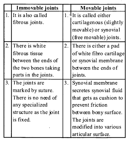 NCERT Solutions for Class 11 Biology Chapter 20 Locomotion and Movement 10