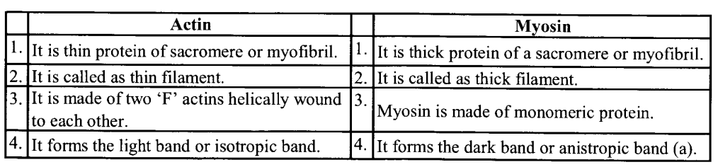 NCERT Solutions for Class 11 Biology Chapter 20 Locomotion and Movement 2