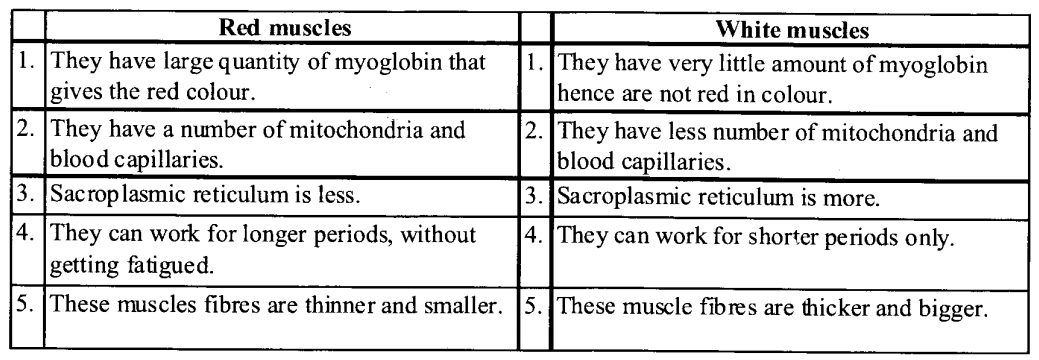 NCERT Solutions for Class 11 Biology Chapter 20 Locomotion and Movement 3