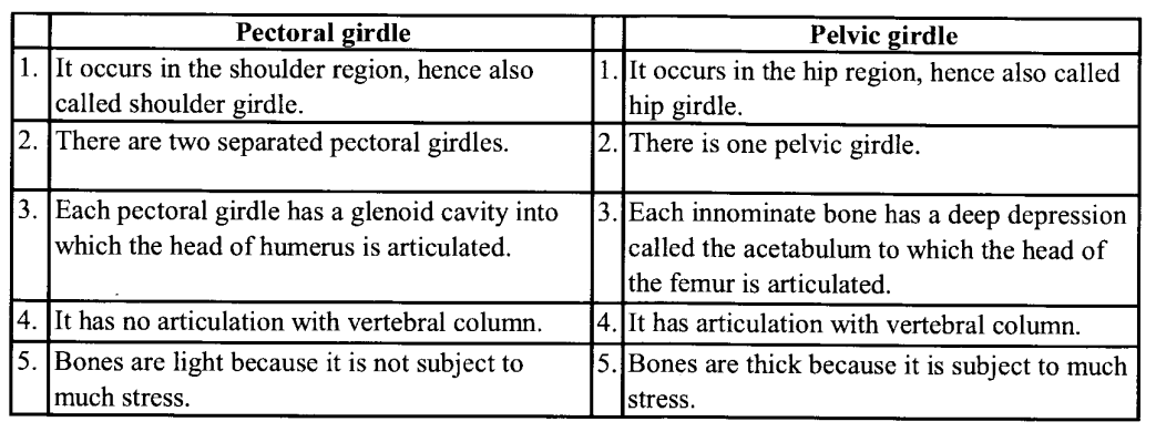 NCERT Solutions for Class 11 Biology Chapter 20 Locomotion and Movement 4