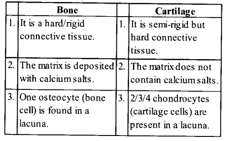 NCERT Solutions for Class 11 Biology Chapter 20 Locomotion and Movement 8