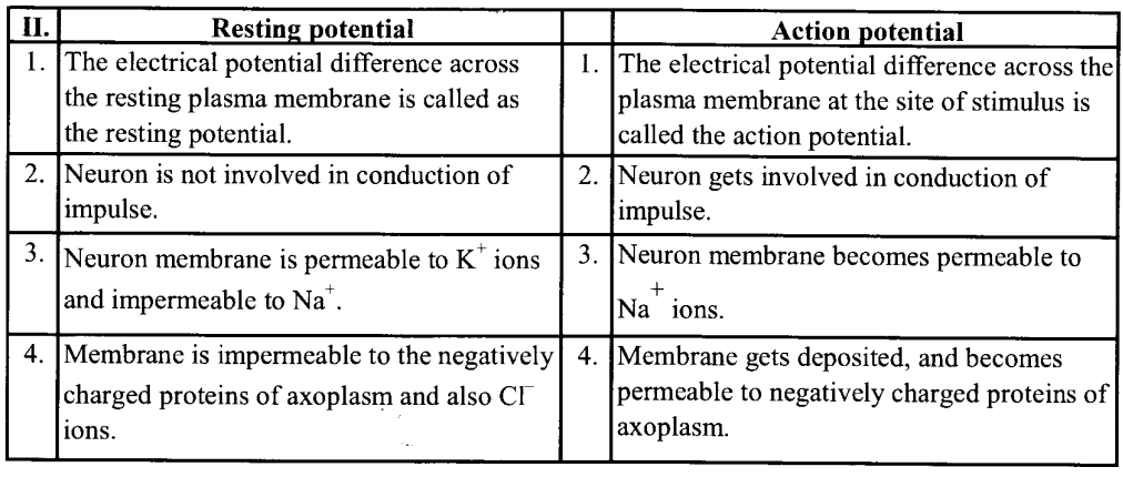 NCERT Solutions for Class 11 Biology Chapter 21 Neural control and co-ordination 4
