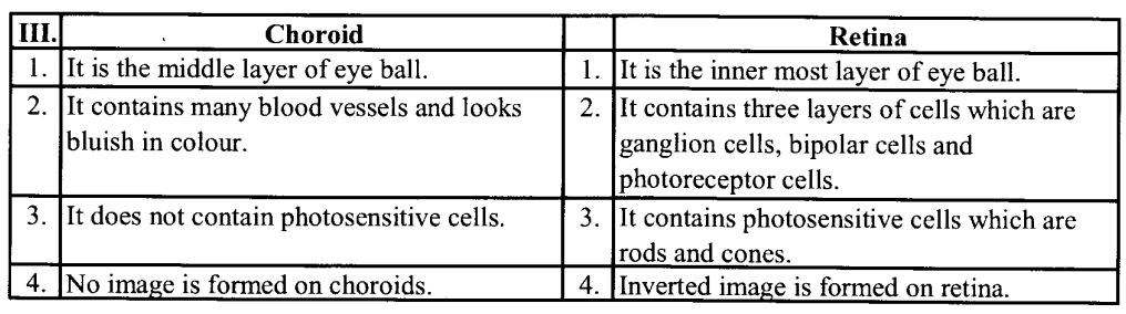 NCERT Solutions for Class 11 Biology Chapter 21 Neural control and co-ordination 5