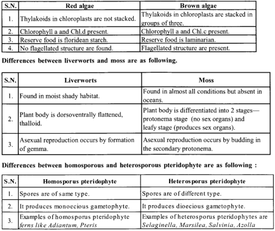 NCERT Solutions for Class 11 Biology Chapter 3 Plant Kingdom 1