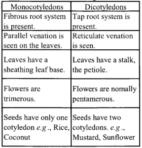 NCERT Solutions For Class 11 Biology Chapter 3 Plant Kingdom – NCERT MCQ