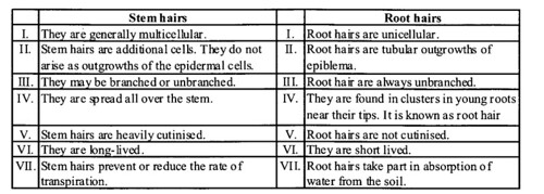 NCERT Solutions for Class 11 Biology Chapter 6 Anatomy of Flowering Plants 9