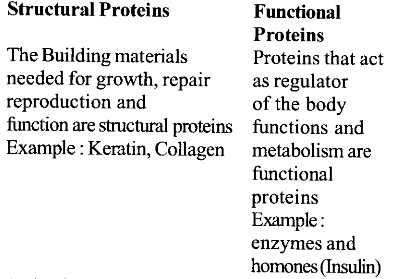 NCERT Solutions for Class 11 Biology Chapter 9 Biomolecules 11