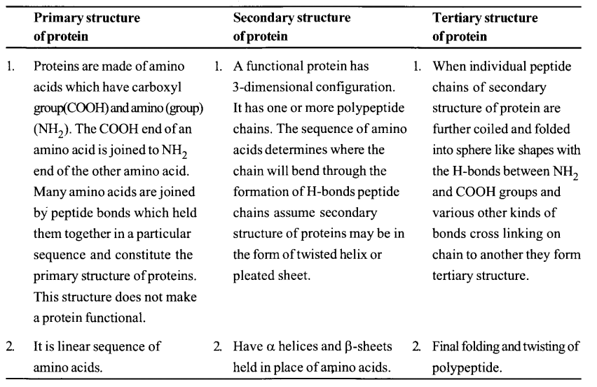 NCERT Solutions for Class 11 Biology Chapter 9 Biomolecules 13