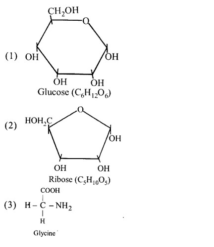 NCERT Solutions for Class 11 Biology Chapter 9 Biomolecules 2
