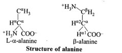 NCERT Solutions for Class 11 Biology Chapter 9 Biomolecules 7