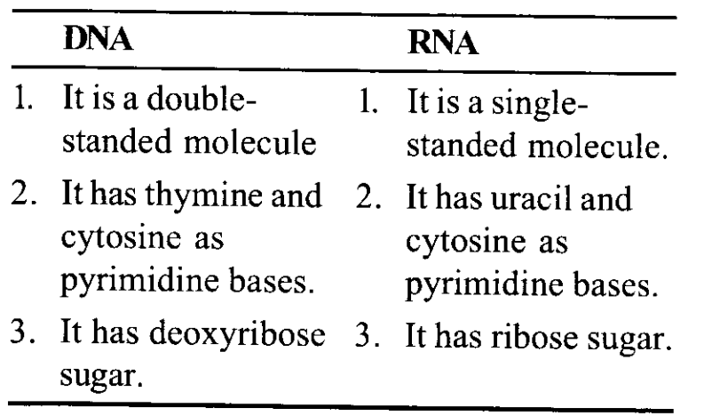 NCERT Solutions for Class 11 Biology Chapter 9 Biomolecules 8