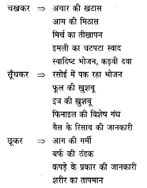 NCERT Solutions for Class 6 Hindi Vasant Chapter 11 जो देखकर भी नहीं देखते 2